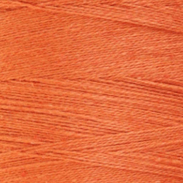 850 Celosia Orange