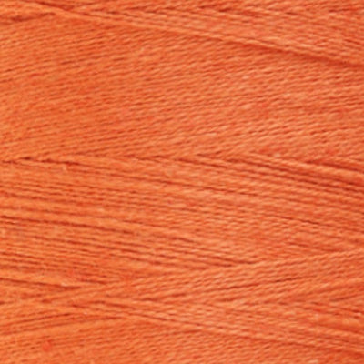 850 Celosia Orange