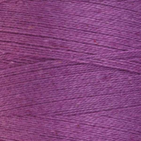 872 Tulip