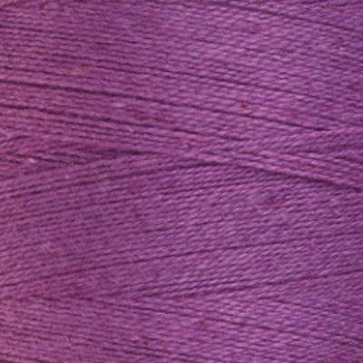 872 Tulip