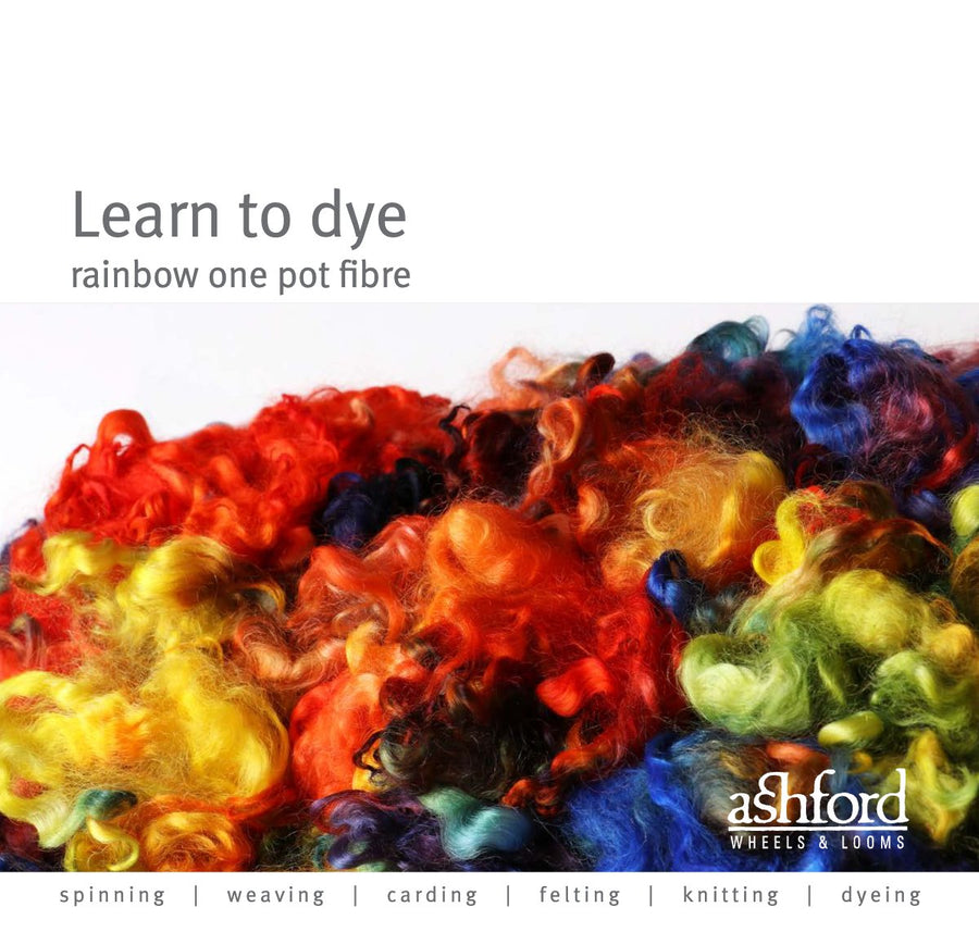Ashford Learn to Dye Rainbow One Pot Fibre guide cover