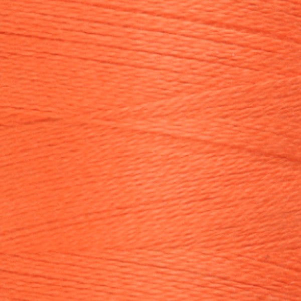 350 Celosia Orange