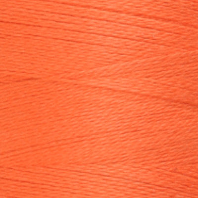 350 Celosia Orange